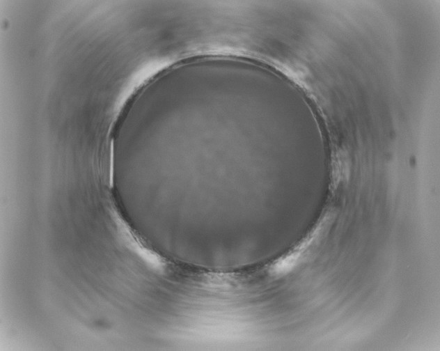 X0000088201223200706051223