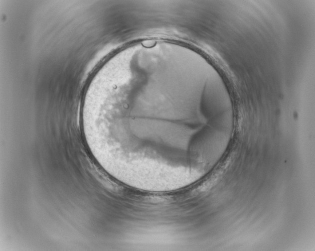 X0000088201224200706051223