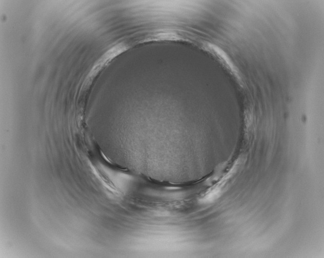 X0000088201225200706051223