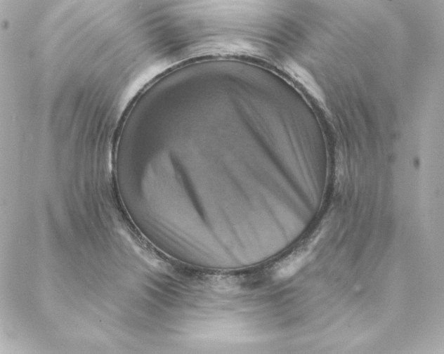 X0000088201226200706051223