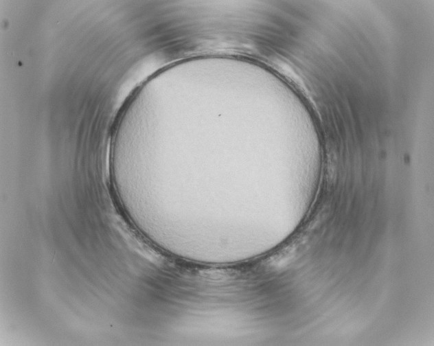 X0000088201227200706051223