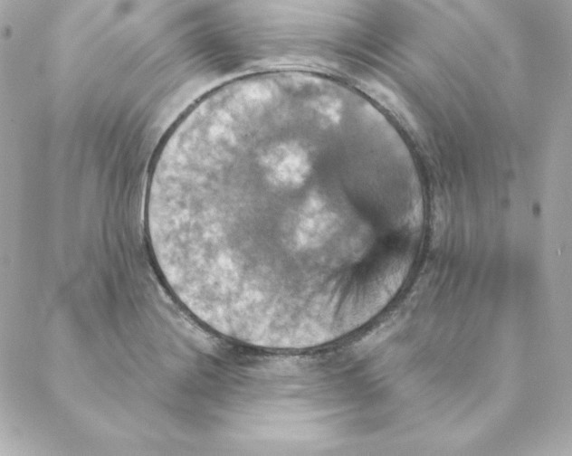 X0000088201228200706051223