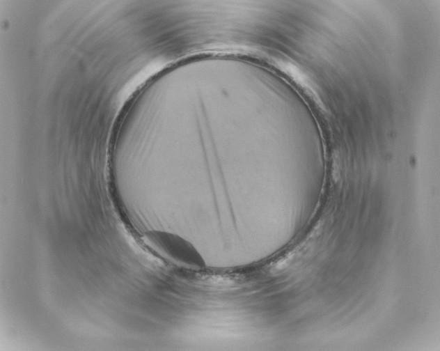 X0000088201229200706051223