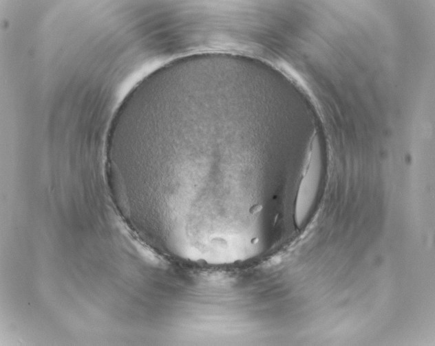 X0000088201230200706051223