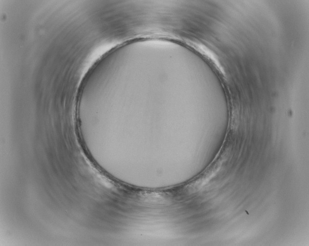 X0000088201231200706051224