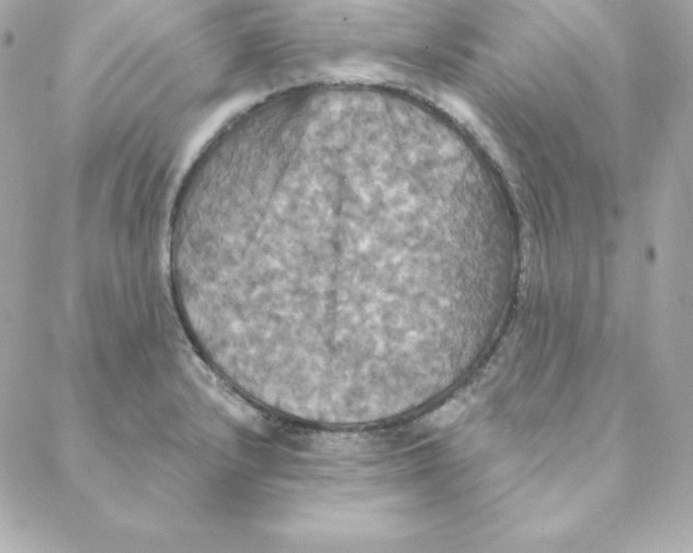 X0000088201232200706051224