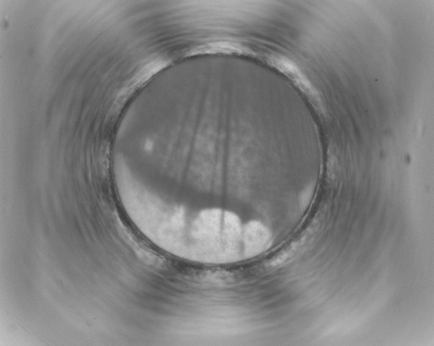 X0000088201233200706051224