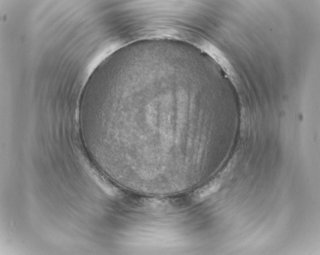 X0000088201234200706051224