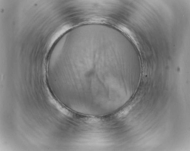 X0000088201235200706051224