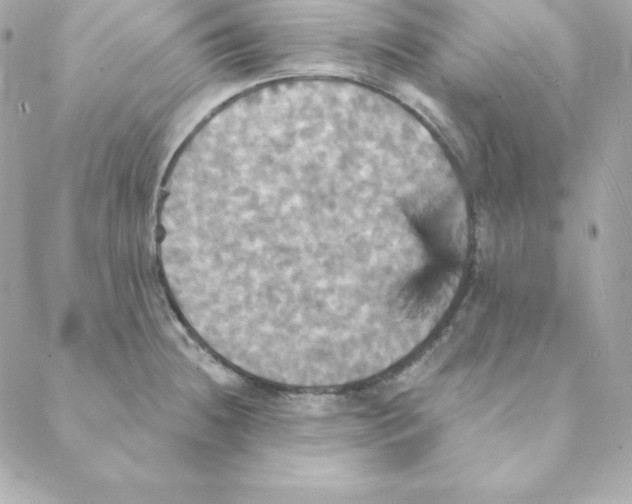 X0000088201236200706051224