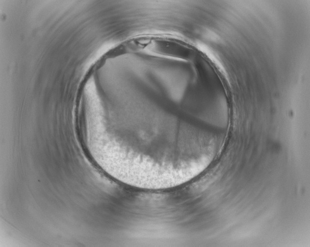 X0000088201237200706051224