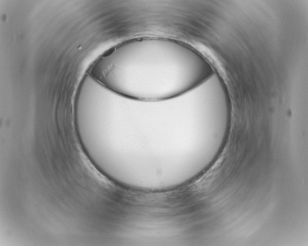 X0000088201238200706051224