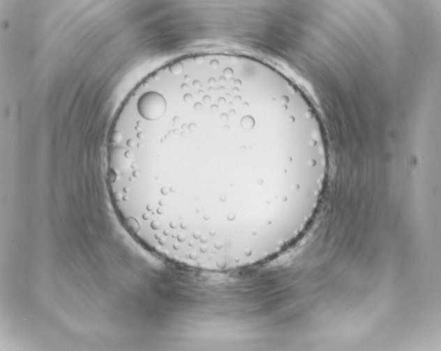 X0000088201239200706051224