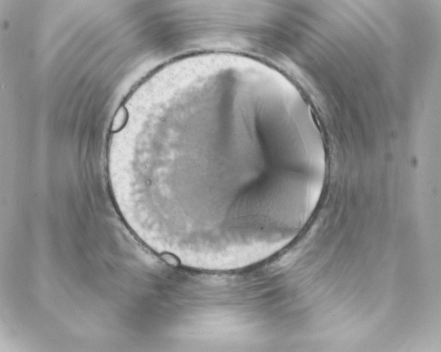 X0000088201240200706051224