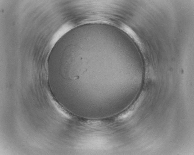 X0000088201242200706051224