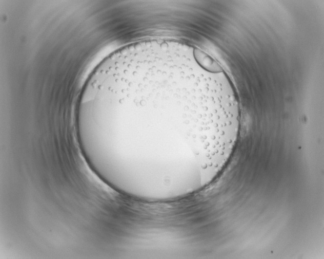 X0000088201243200706051224