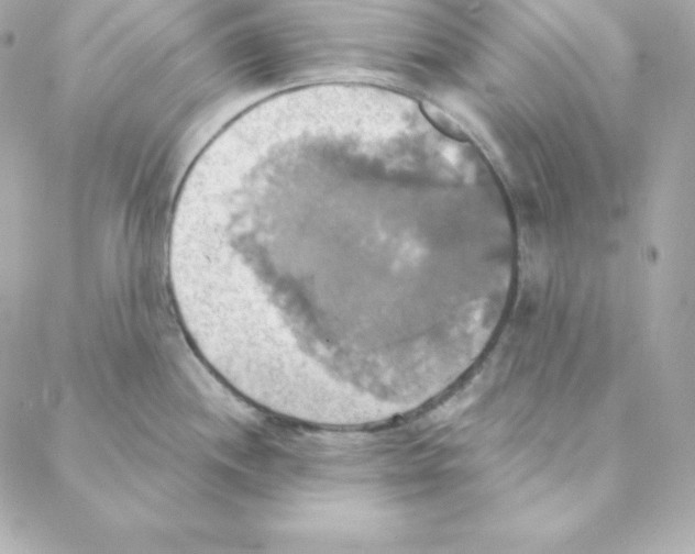 X0000088201244200706051224