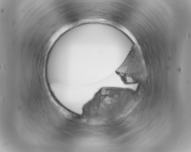 X0000088201245200706051224