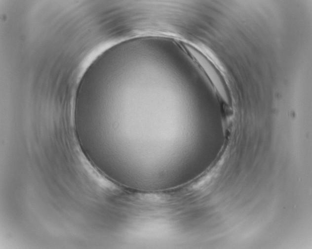 X0000088201246200706051224