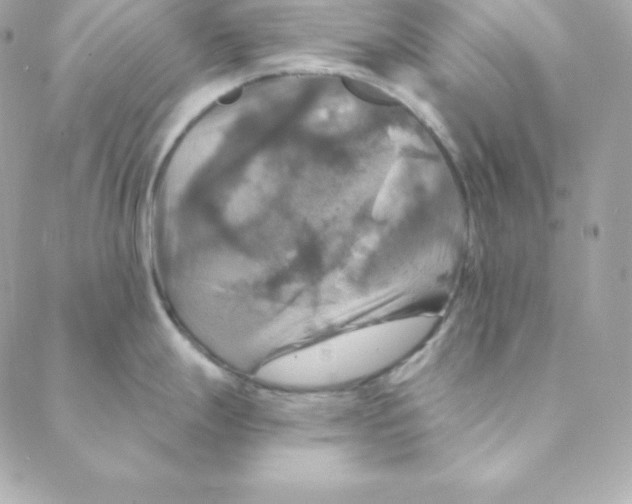 X0000088201247200706051224