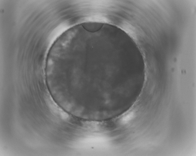 X0000088201248200706051224