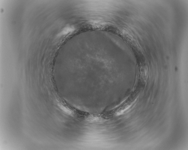 X0000088201249200706051223