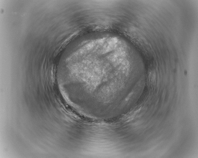 X0000088201250200706051223