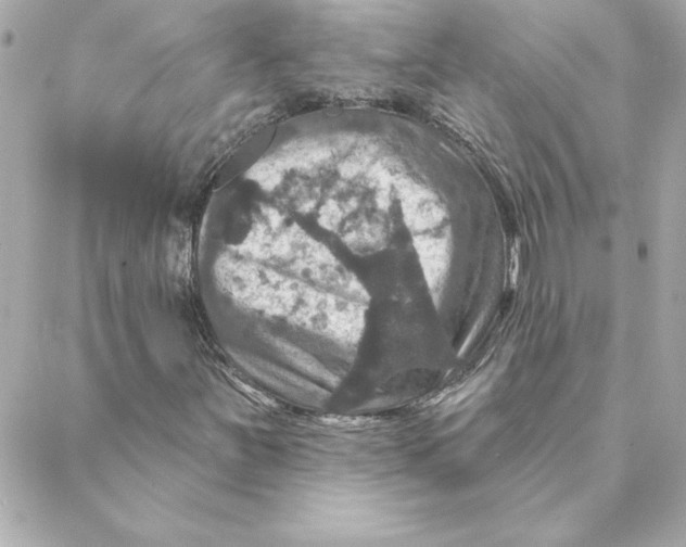 X0000088201251200706051223