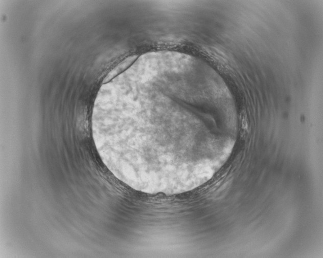 X0000088201252200706051223