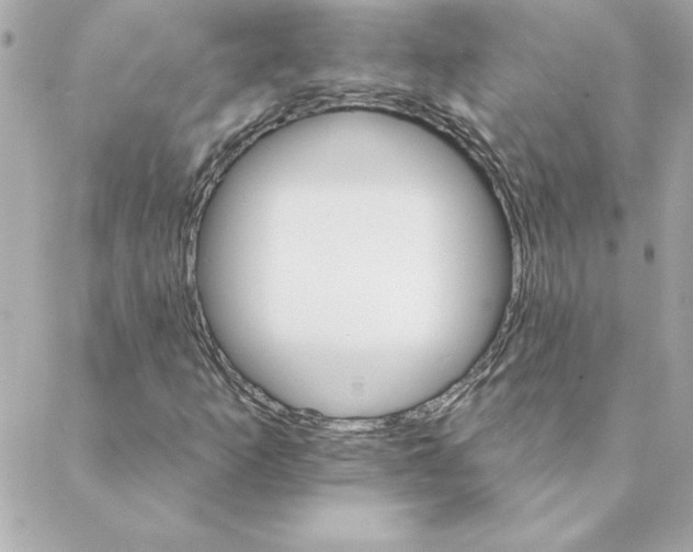 X0000088201253200706051223