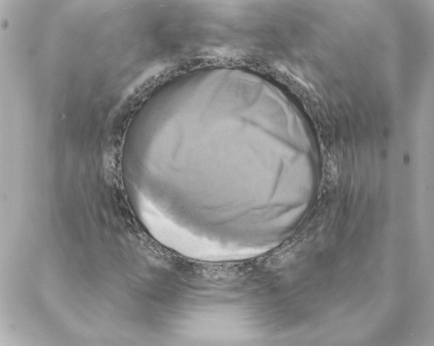 X0000088201254200706051223