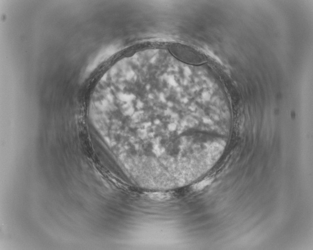 X0000088201255200706051223