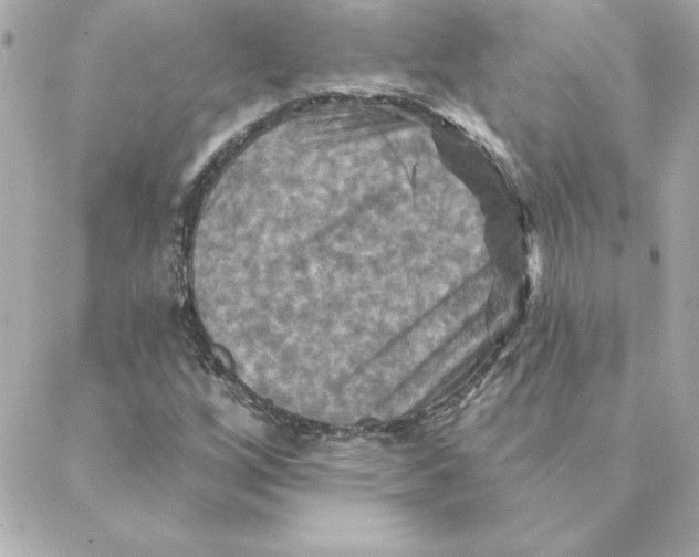 X0000088201256200706051223