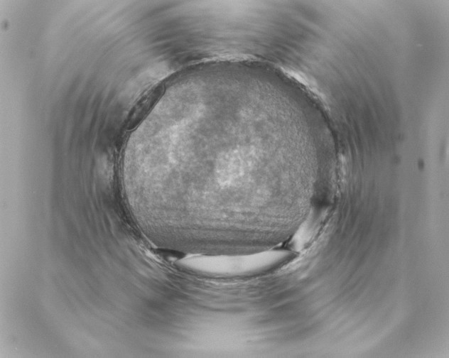 X0000088201257200706051223