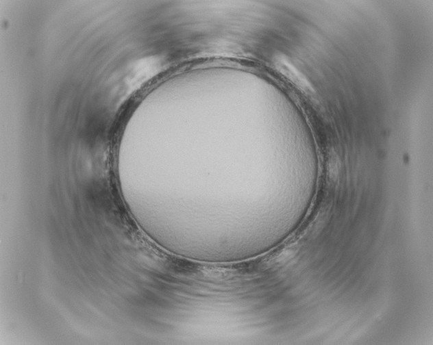 X0000088201258200706051223