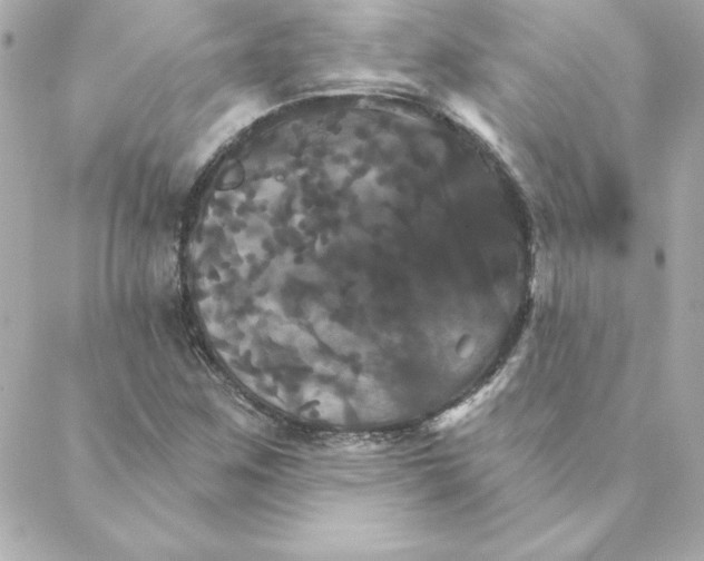 X0000088201259200706051223