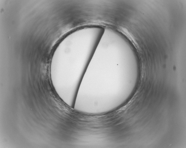 X0000088201260200706051223