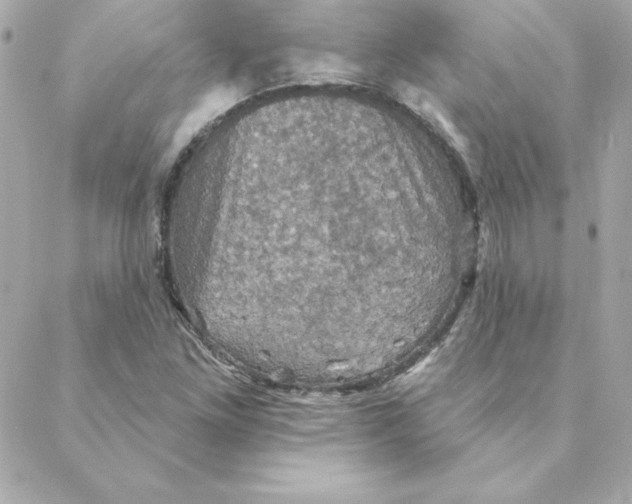 X0000088201261200706051223