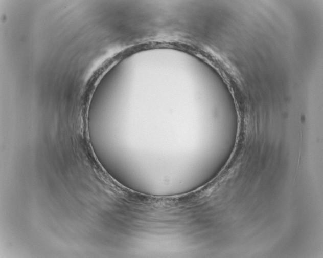 X0000088201262200706051223