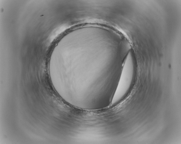 X0000088201263200706051223