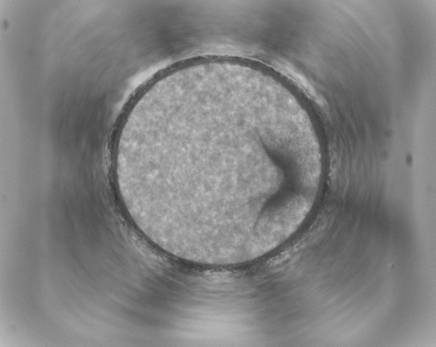 X0000088201264200706051223