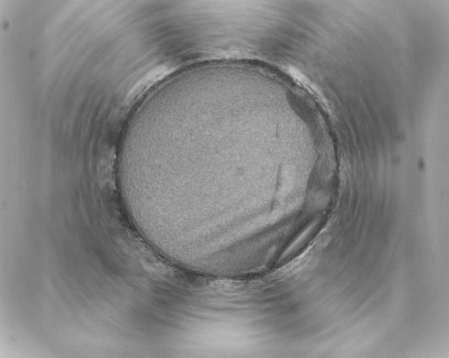 X0000088201265200706051223