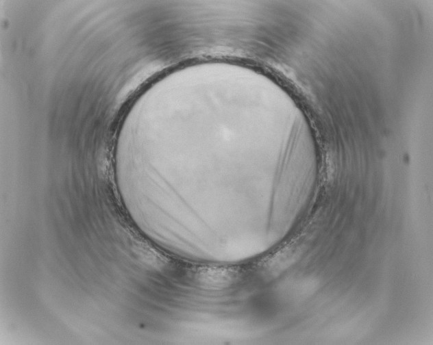 X0000088201266200706051223