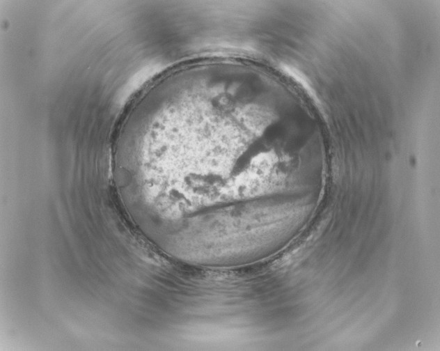 X0000088201267200706051223