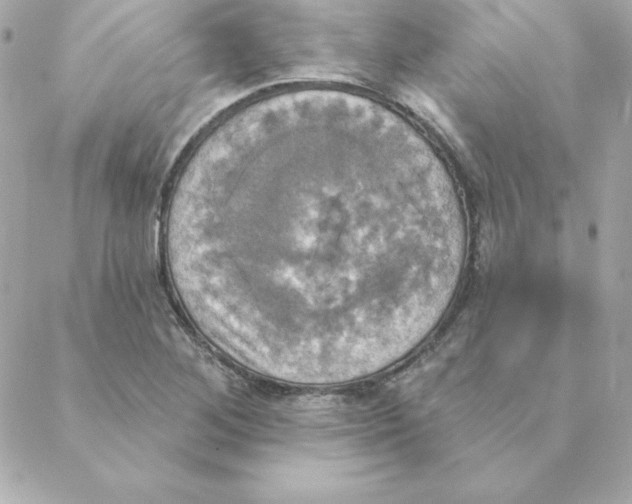 X0000088201268200706051223