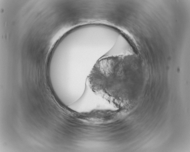 X0000088201271200706051223