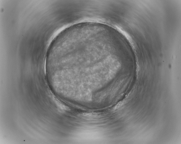 X0000088201272200706051223