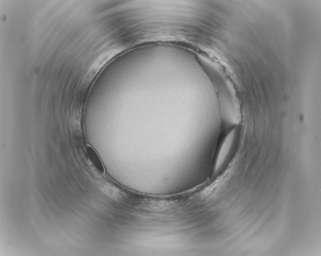 X0000088201273200706051223