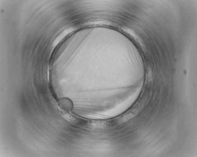 X0000088201274200706051223