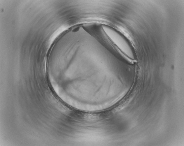 X0000088201275200706051223